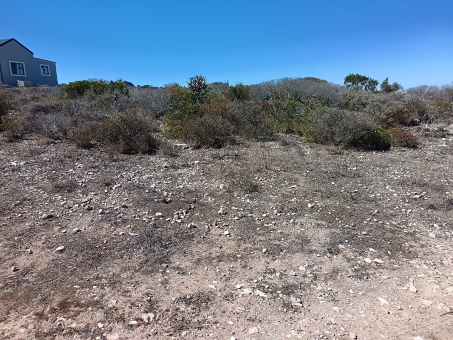 Commercial Property for Sale in Hoogland Western Cape